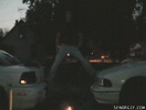 2b709879d270b5cc05d412e6a3e0bd69-firework-launches-into-butt.gif