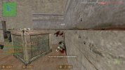 knifed Carla.jpg