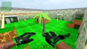 zm_eh_solo_summer0003.jpg