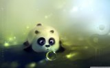 panda_loves_bubbles-wallpaper-1680x1050.jpg