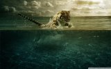 tiger_playing_in_water-wallpaper-1920x1200.jpg