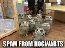spam-from-hogwarts.jpg