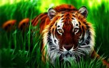 3d-tiger-colorful-wallpaper-600x375.jpg