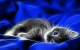 3d-animated-cat-wallpaper-hd-600x375.jpg