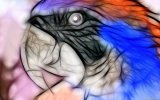 3D-Animal-Background-Parrot-Wallpaper-600x375.jpg