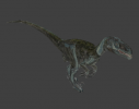 Dromeosaur.png