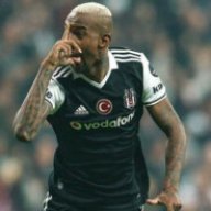 andersonenes