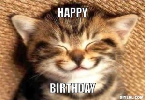 happy-birthday-cat-meme-cute-300x206.jpeg